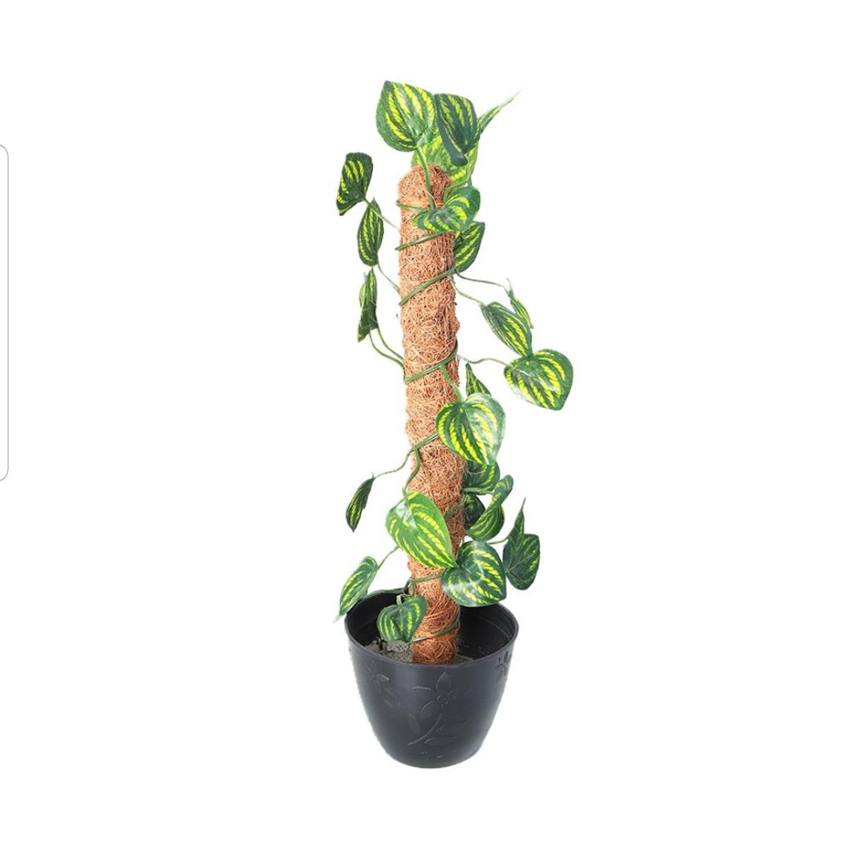 Artificial Money Plant