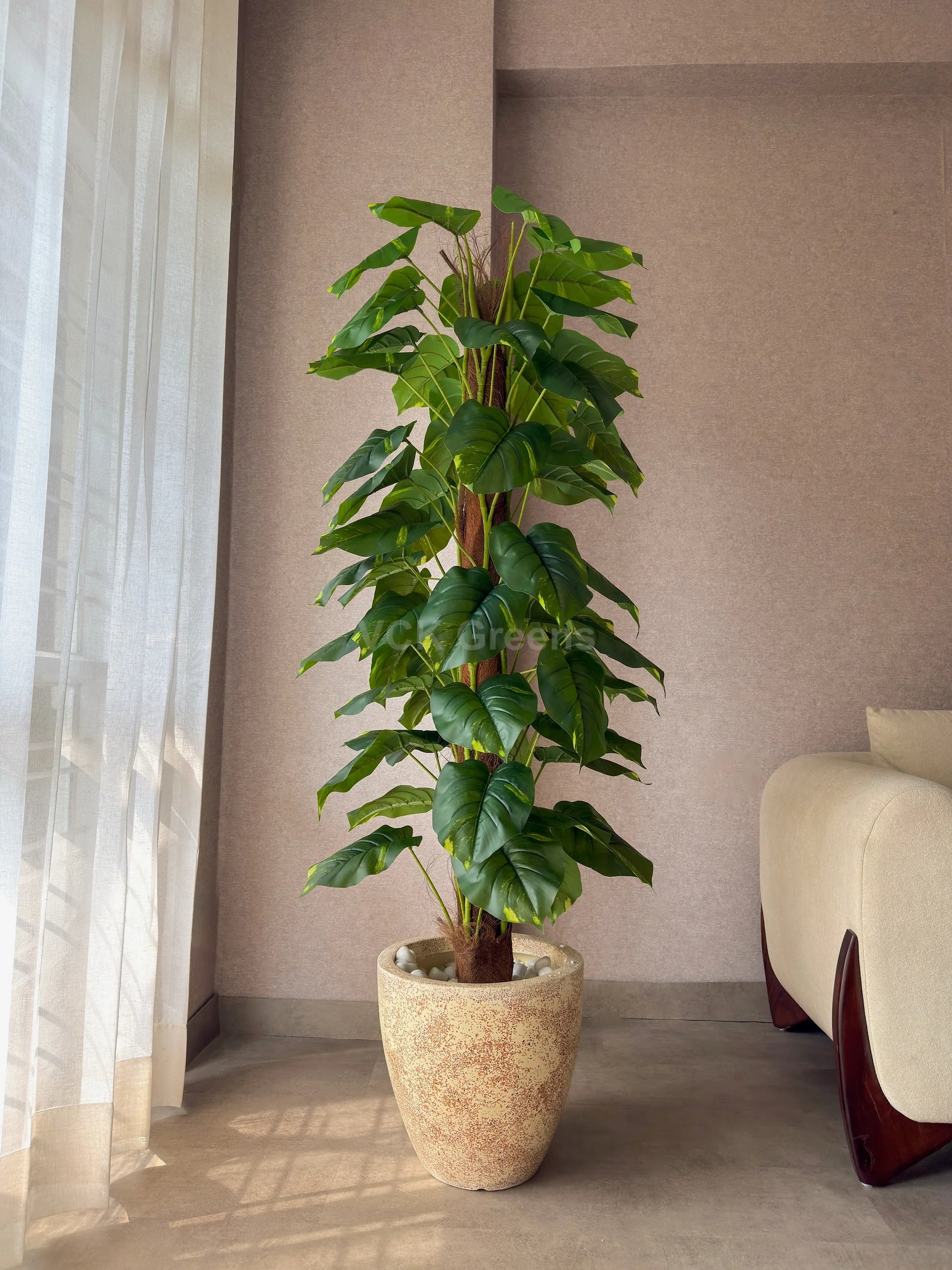 Artificial Money Plant