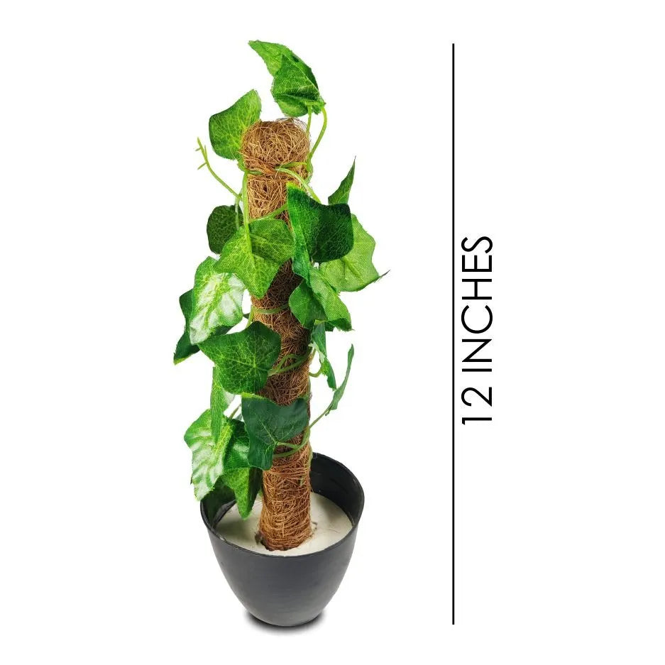 Artificial Money Plant