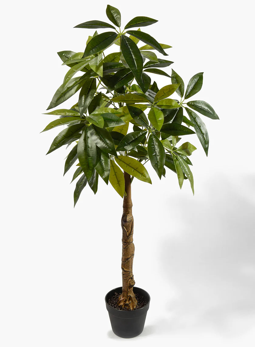 Artificial Money Plant