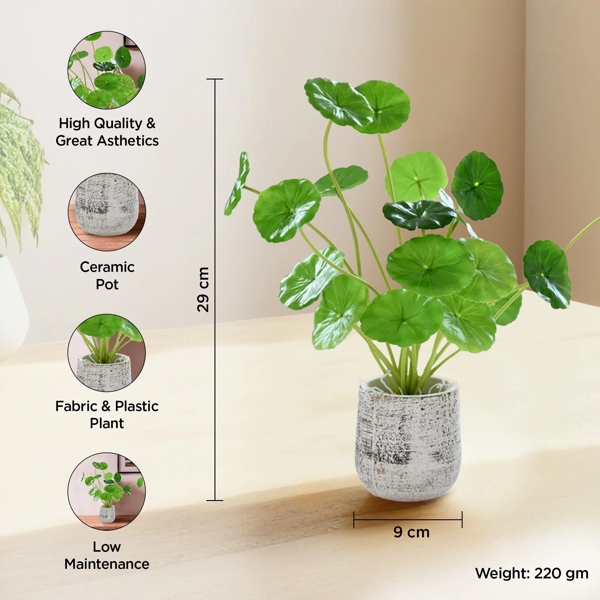 Artificial Money Plant